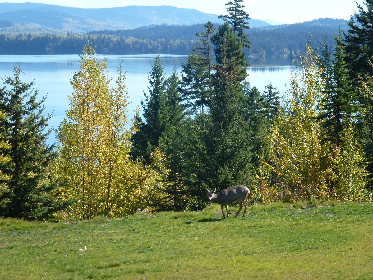 Little Black Bear Lodge/B&B Bridge Lake Exterior foto